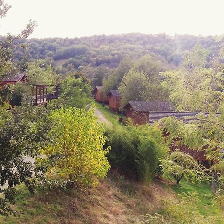La Ferme Du Duzou Villa Saint-Cyprien-sur-Dourdou Kültér fotó