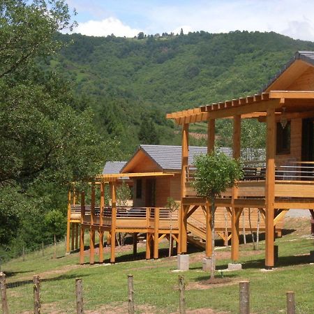 La Ferme Du Duzou Villa Saint-Cyprien-sur-Dourdou Kültér fotó