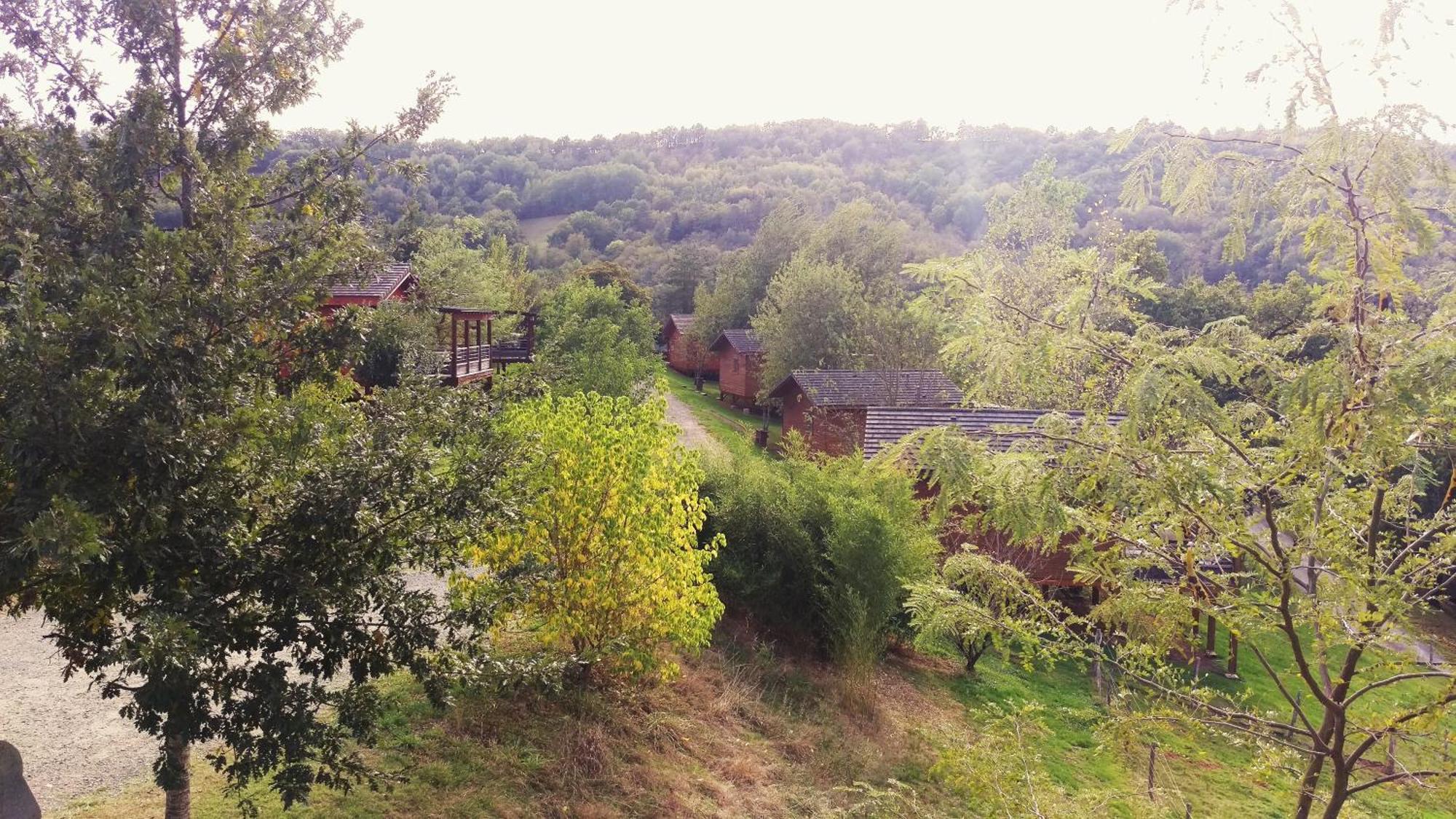 La Ferme Du Duzou Villa Saint-Cyprien-sur-Dourdou Kültér fotó