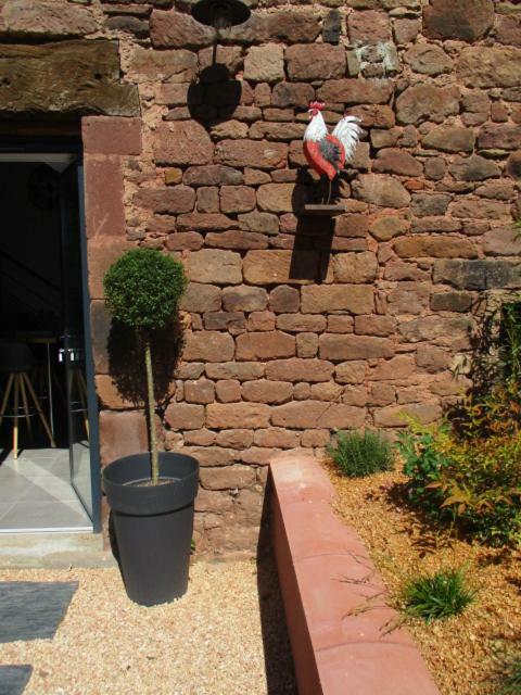 La Ferme Du Duzou Villa Saint-Cyprien-sur-Dourdou Kültér fotó